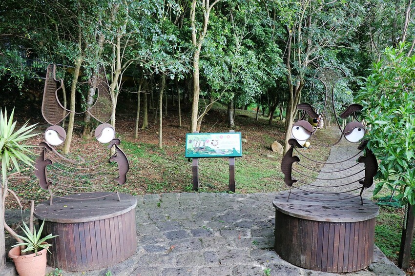 【桃園龍潭一日遊】探索三水×農遊輕旅-水土保持戶外教室/奉茶亭步道採茶/美人世家品茶/夏夕夏景玻璃屋景觀