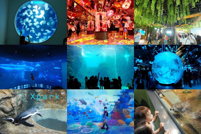 【桃園龍潭一日遊】探索三水×農遊輕旅-水土保持戶外教室/奉茶亭步道採茶/美人世家品茶/夏夕夏景玻璃屋景觀