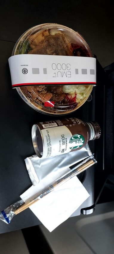 EMU3000城際列車:極簡風黑白列車 2022年 台鐵| 騰雲座艙 商務艙 體驗