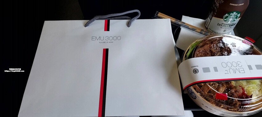 EMU3000城際列車:極簡風黑白列車 2022年 台鐵| 騰雲座艙 商務艙 體驗