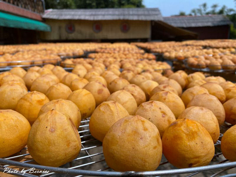味衛佳柿餅觀光農場~九降風起曬柿子來農場拍網美照囉 @Bernice的隨手筆記