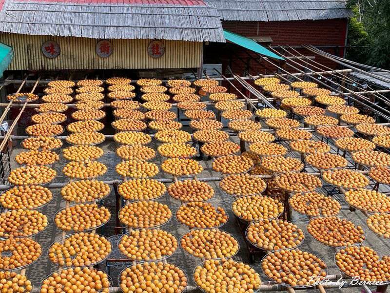 味衛佳柿餅觀光農場~九降風起曬柿子來農場拍網美照囉 @Bernice的隨手筆記