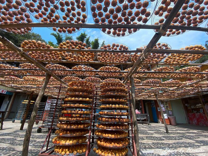 味衛佳柿餅觀光農場~九降風起曬柿子來農場拍網美照囉 @Bernice的隨手筆記