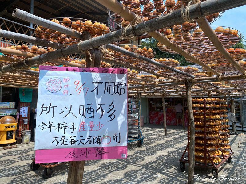 味衛佳柿餅觀光農場~九降風起曬柿子來農場拍網美照囉 @Bernice的隨手筆記