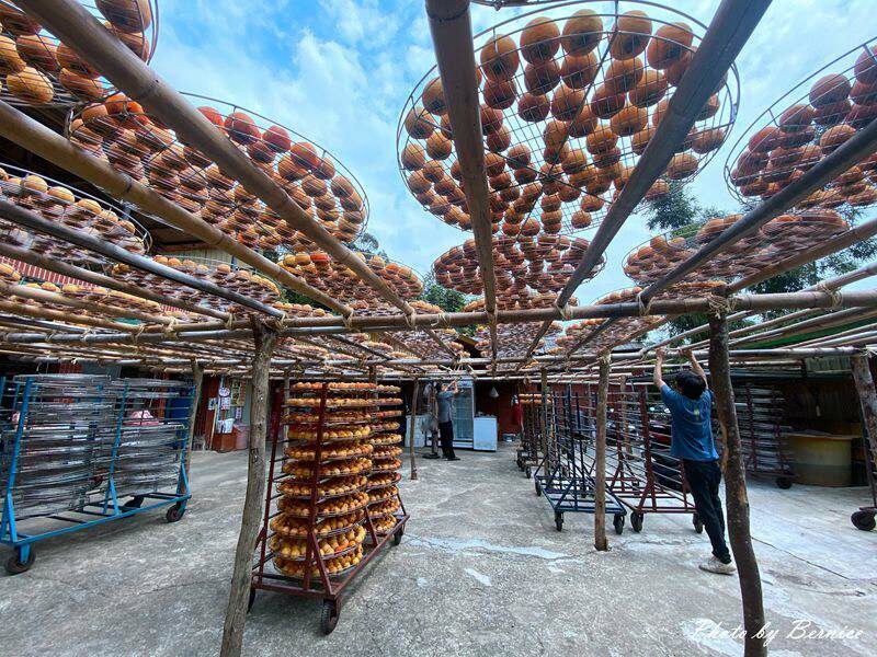 味衛佳柿餅觀光農場~九降風起曬柿子來農場拍網美照囉 @Bernice的隨手筆記