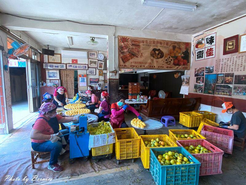 味衛佳柿餅觀光農場~九降風起曬柿子來農場拍網美照囉 @Bernice的隨手筆記