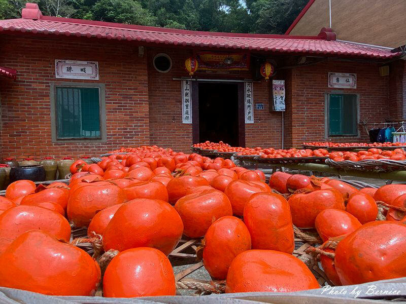味衛佳柿餅觀光農場~九降風起曬柿子來農場拍網美照囉 @Bernice的隨手筆記