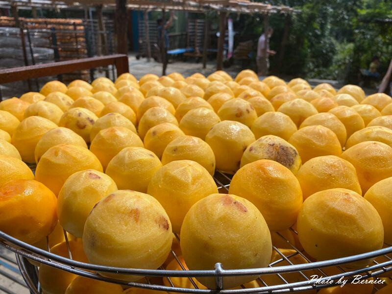 味衛佳柿餅觀光農場~九降風起曬柿子來農場拍網美照囉 @Bernice的隨手筆記