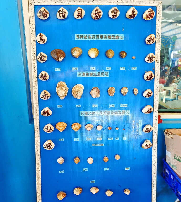 【馬蹄蛤主題館】一票玩到底超划算