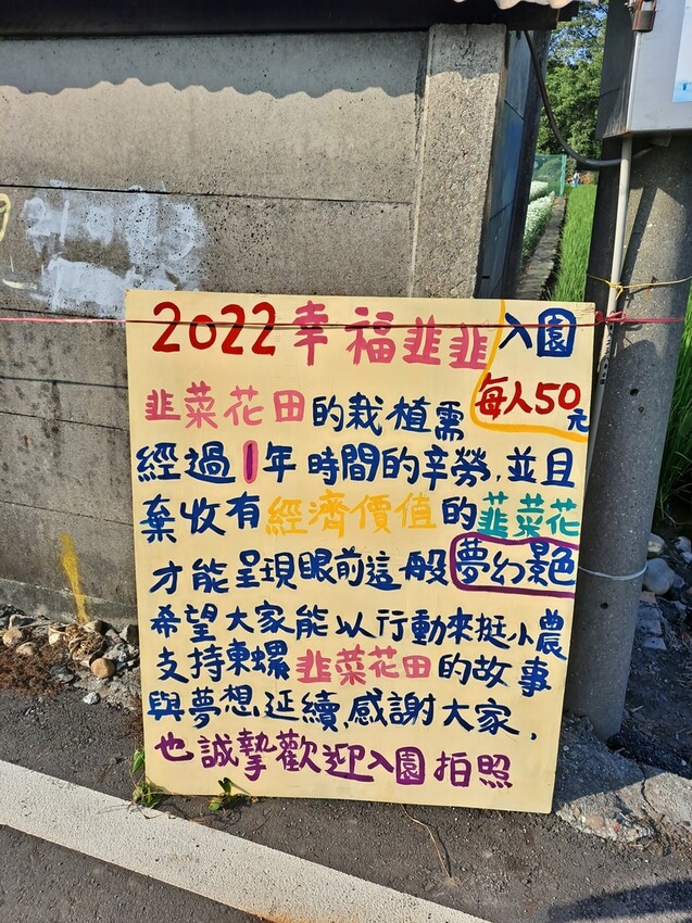 埤頭韭菜花海 (4).jpg - 埤頭韭菜花海