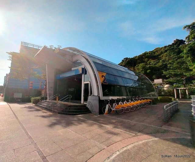 The beautiful blossoms of powerpuff tree at Taipei Eextreme sports and training center, Nangang district, Taipei, Taiwan, SJKen, Jun 18, 2022.