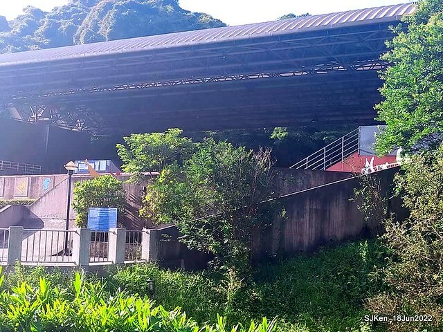 The beautiful blossoms of powerpuff tree at Taipei Eextreme sports and training center, Nangang district, Taipei, Taiwan, SJKen, Jun 18, 2022.