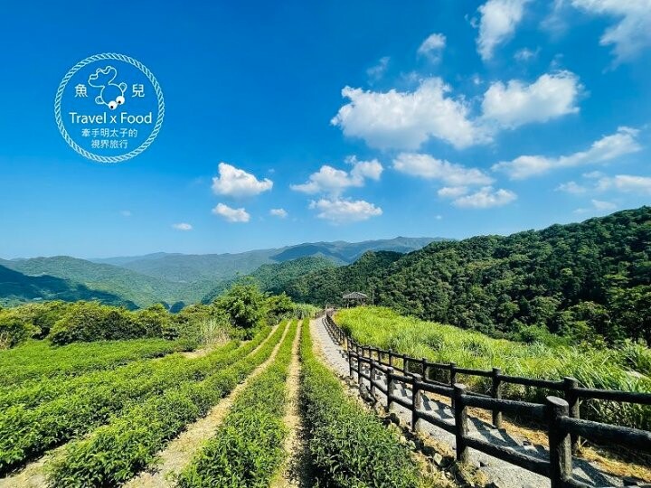 南山寺(仙公廟)景觀平台｜壯闊山景，風景秀麗，吹風曬太陽再順遊老街 @魚兒 x 牽手明太子的「視」界旅行