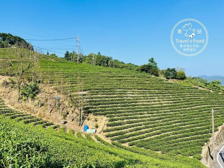 南山寺(仙公廟)景觀平台｜壯闊山景，風景秀麗，吹風曬太陽再順遊老街 @魚兒 x 牽手明太子的「視」界旅行
