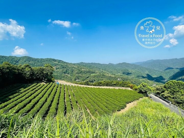 南山寺(仙公廟)景觀平台｜壯闊山景，風景秀麗，吹風曬太陽再順遊老街 @魚兒 x 牽手明太子的「視」界旅行