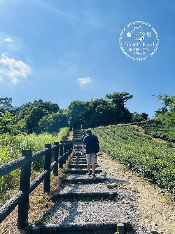南山寺(仙公廟)景觀平台｜壯闊山景，風景秀麗，吹風曬太陽再順遊老街 @魚兒 x 牽手明太子的「視」界旅行