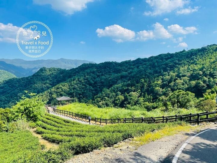 南山寺(仙公廟)景觀平台｜壯闊山景，風景秀麗，吹風曬太陽再順遊老街 @魚兒 x 牽手明太子的「視」界旅行
