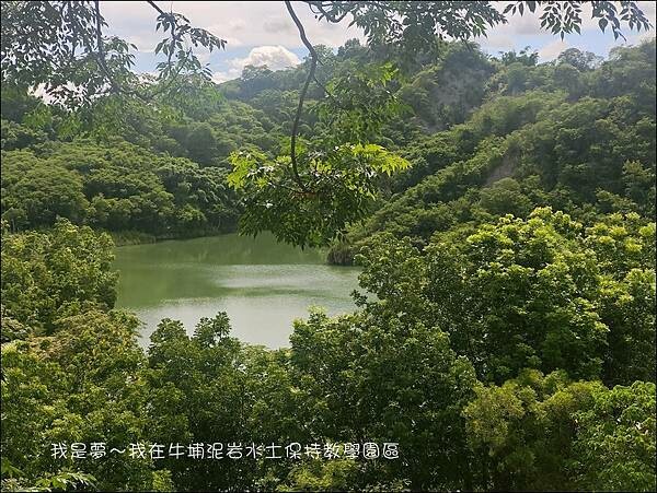 牛埔泥岩水土保持教學園區05.jpg