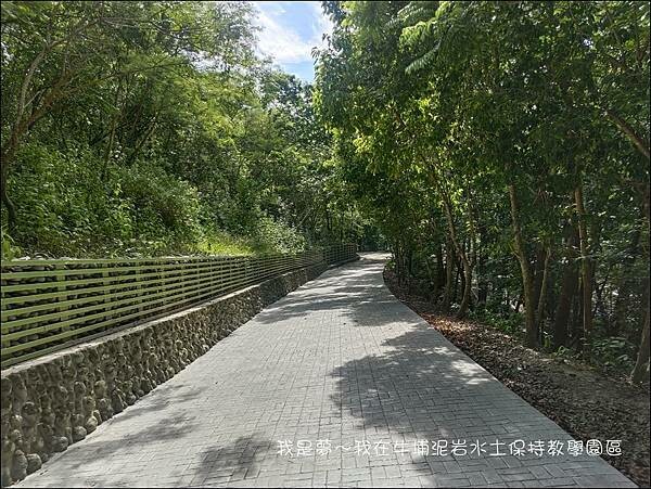 牛埔泥岩水土保持教學園區07.jpg