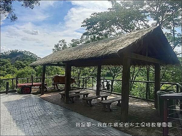 牛埔泥岩水土保持教學園區04.jpg