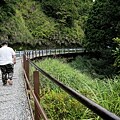 【太平山 | 蹦蹦車】搭乘台灣唯一高山台車直抵宮崎駿神秘山中月台 來和森林精靈玩場躱貓貓吧