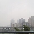 【太平山 | 蹦蹦車】搭乘台灣唯一高山台車直抵宮崎駿神秘山中月台 來和森林精靈玩場躱貓貓吧