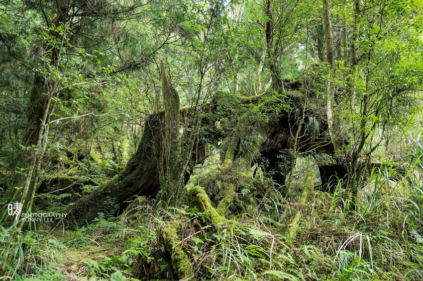 DSC_4941.jpg