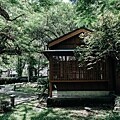 【太平山 | 蹦蹦車】搭乘台灣唯一高山台車直抵宮崎駿神秘山中月台 來和森林精靈玩場躱貓貓吧