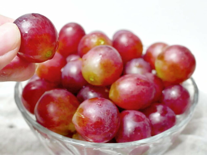 |  家電開箱 | Naughty Kid 頑皮貝貝 蔬果清洗機．活氧噴流清潔，一鍵自動清洗去除農藥／重金屬，大人小孩都可以放心享用！