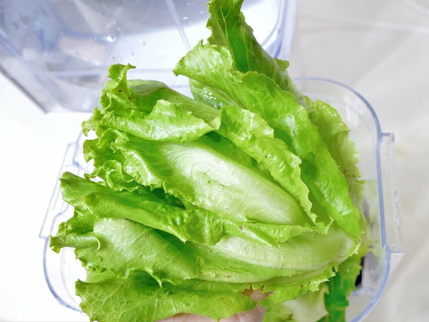 |  家電開箱 | Naughty Kid 頑皮貝貝 蔬果清洗機．活氧噴流清潔，一鍵自動清洗去除農藥／重金屬，大人小孩都可以放心享用！