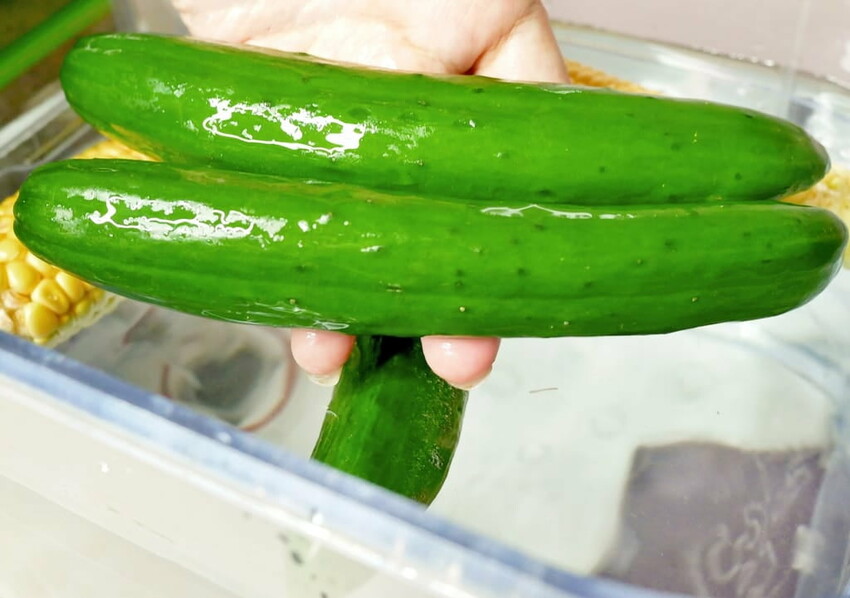 |  家電開箱 | Naughty Kid 頑皮貝貝 蔬果清洗機．活氧噴流清潔，一鍵自動清洗去除農藥／重金屬，大人小孩都可以放心享用！