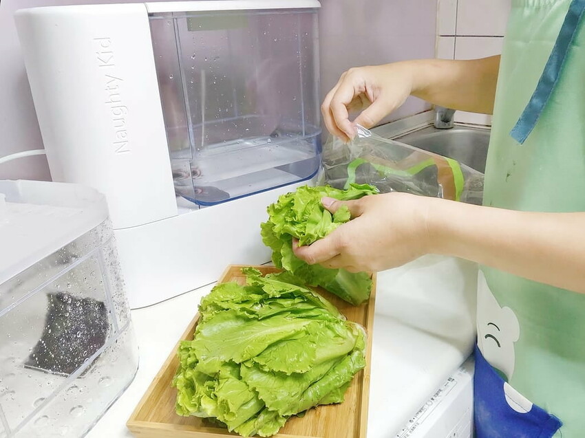 |  家電開箱 | Naughty Kid 頑皮貝貝 蔬果清洗機．活氧噴流清潔，一鍵自動清洗去除農藥／重金屬，大人小孩都可以放心享用！