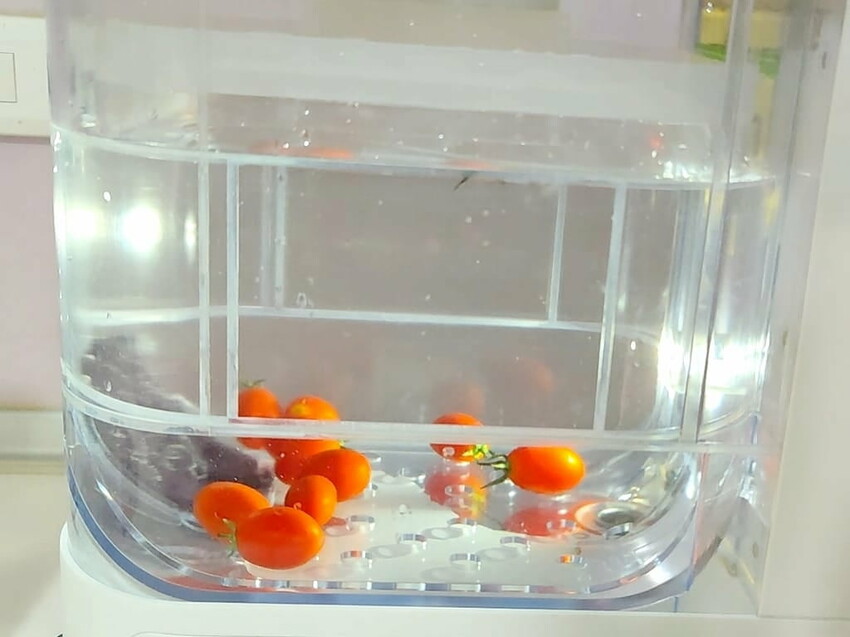 |  家電開箱 | Naughty Kid 頑皮貝貝 蔬果清洗機．活氧噴流清潔，一鍵自動清洗去除農藥／重金屬，大人小孩都可以放心享用！