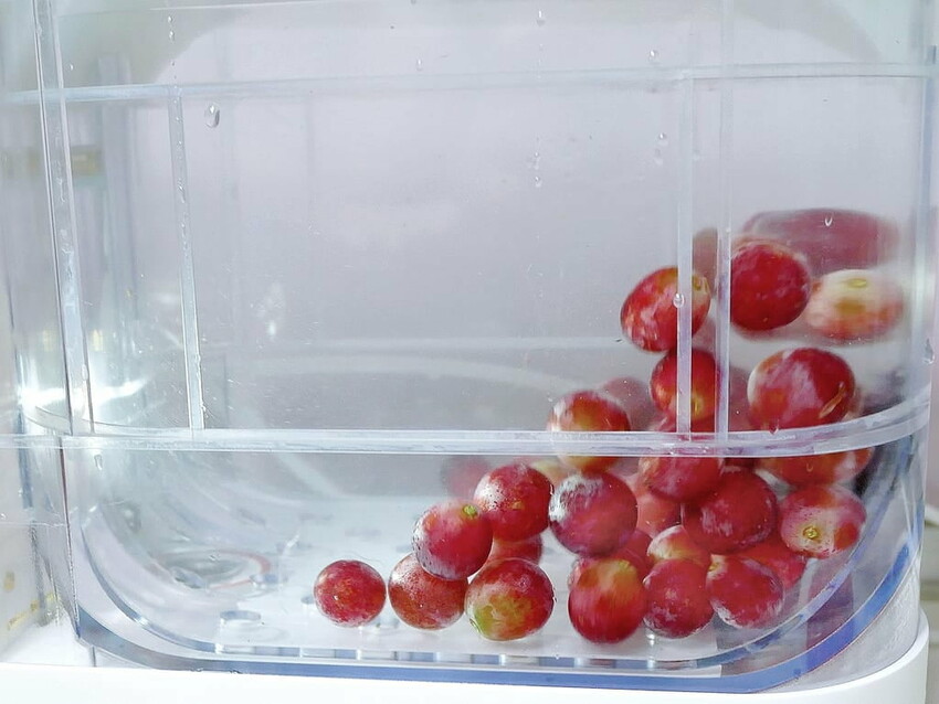 |  家電開箱 | Naughty Kid 頑皮貝貝 蔬果清洗機．活氧噴流清潔，一鍵自動清洗去除農藥／重金屬，大人小孩都可以放心享用！