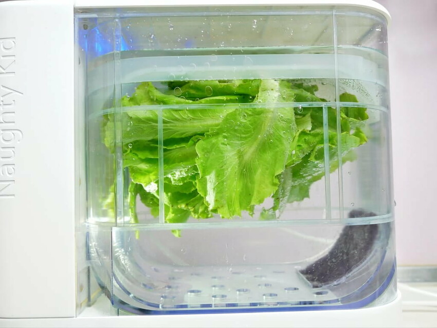 |  家電開箱 | Naughty Kid 頑皮貝貝 蔬果清洗機．活氧噴流清潔，一鍵自動清洗去除農藥／重金屬，大人小孩都可以放心享用！