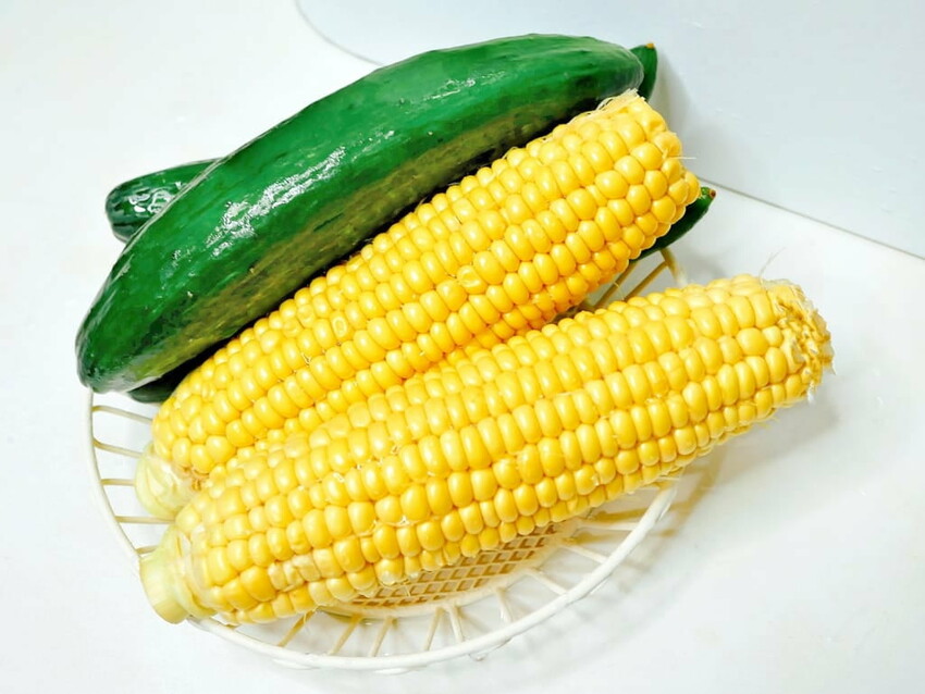 |  家電開箱 | Naughty Kid 頑皮貝貝 蔬果清洗機．活氧噴流清潔，一鍵自動清洗去除農藥／重金屬，大人小孩都可以放心享用！