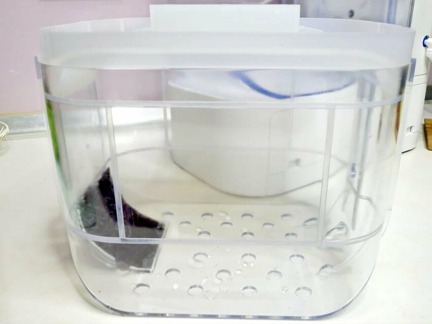 |  家電開箱 | Naughty Kid 頑皮貝貝 蔬果清洗機．活氧噴流清潔，一鍵自動清洗去除農藥／重金屬，大人小孩都可以放心享用！