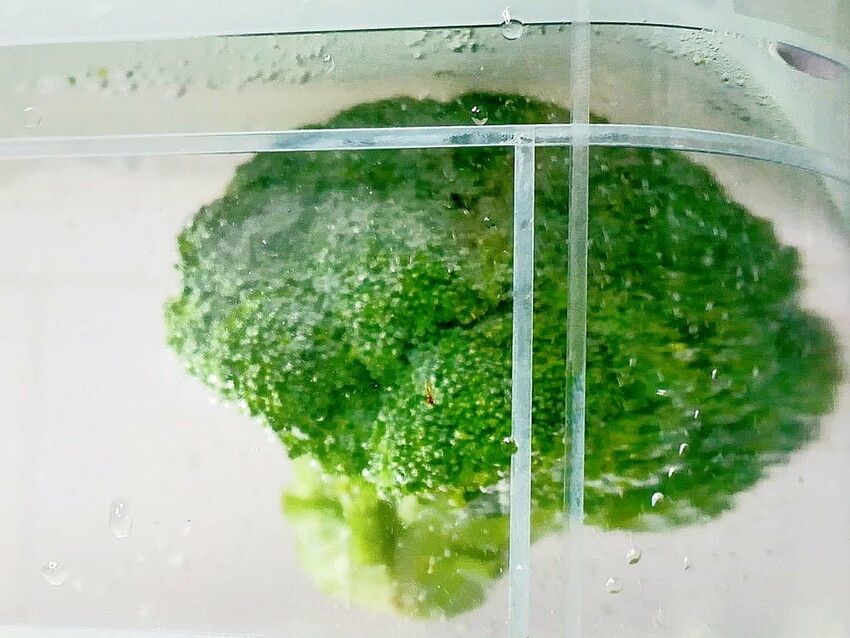 |  家電開箱 | Naughty Kid 頑皮貝貝 蔬果清洗機．活氧噴流清潔，一鍵自動清洗去除農藥／重金屬，大人小孩都可以放心享用！