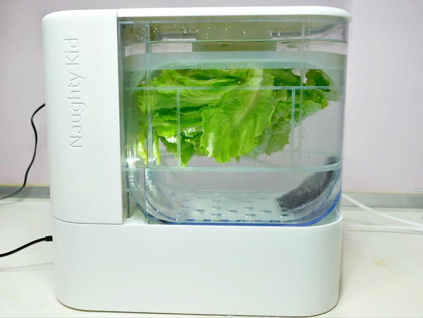 |  家電開箱 | Naughty Kid 頑皮貝貝 蔬果清洗機．活氧噴流清潔，一鍵自動清洗去除農藥／重金屬，大人小孩都可以放心享用！