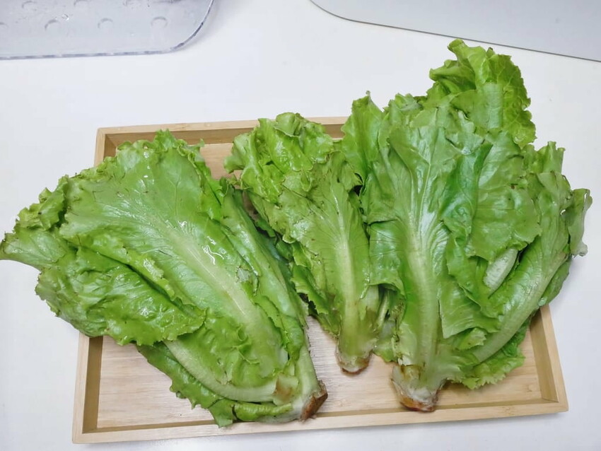 |  家電開箱 | Naughty Kid 頑皮貝貝 蔬果清洗機．活氧噴流清潔，一鍵自動清洗去除農藥／重金屬，大人小孩都可以放心享用！