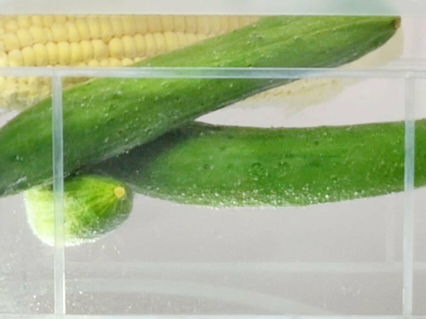 |  家電開箱 | Naughty Kid 頑皮貝貝 蔬果清洗機．活氧噴流清潔，一鍵自動清洗去除農藥／重金屬，大人小孩都可以放心享用！