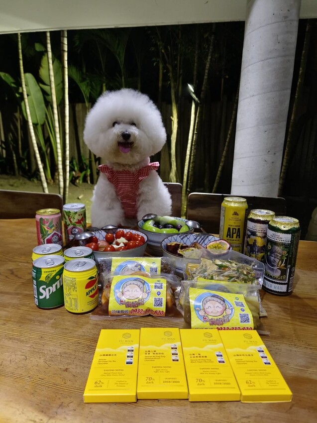 【屏東.東港】福灣villa海洋四人房。寵物友善清潔費一隻$500。超大庭院+戶外客廳可盡情奔跑