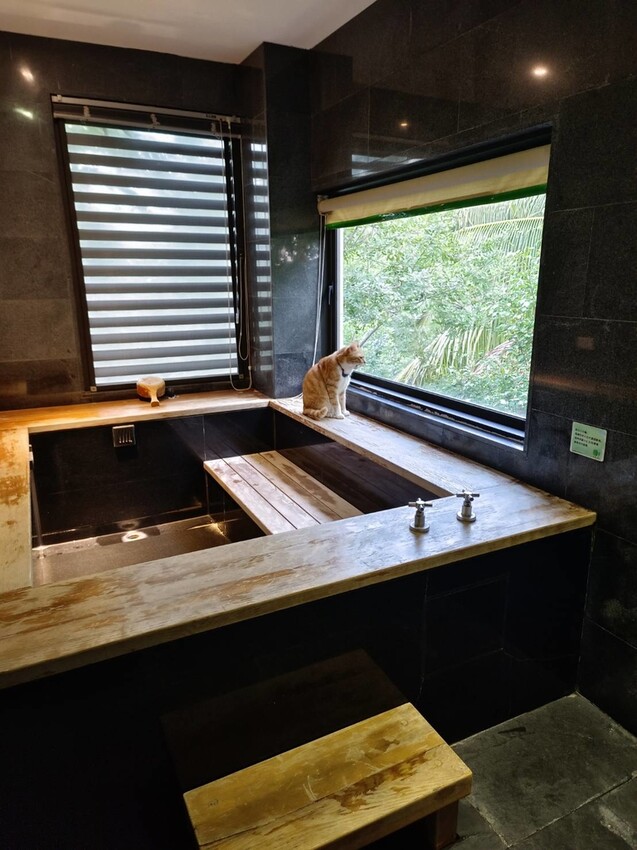 【屏東.東港】福灣villa海洋四人房。寵物友善清潔費一隻$500。超大庭院+戶外客廳可盡情奔跑