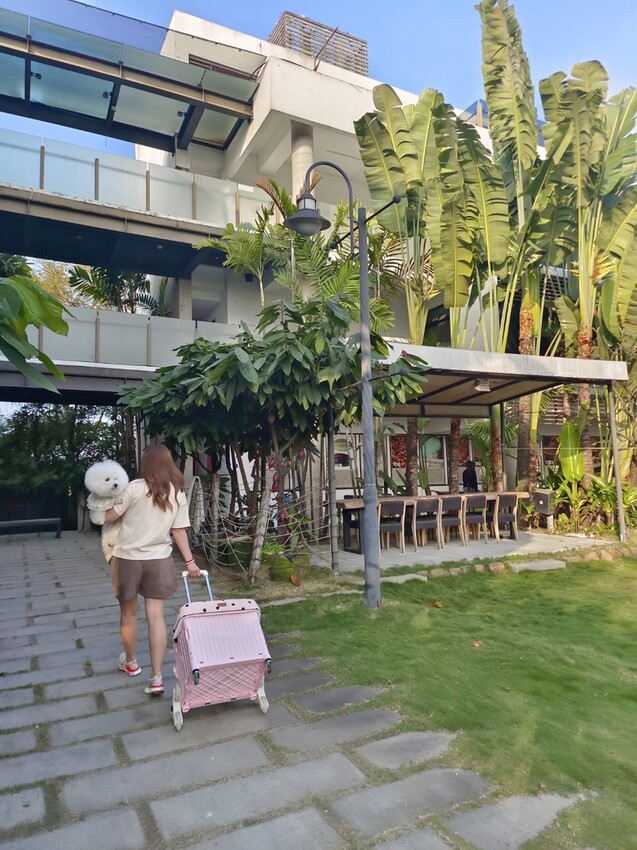 【屏東.東港】福灣villa海洋四人房。寵物友善清潔費一隻$500。超大庭院+戶外客廳可盡情奔跑