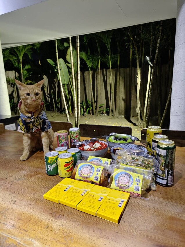 【屏東.東港】福灣villa海洋四人房。寵物友善清潔費一隻$500。超大庭院+戶外客廳可盡情奔跑