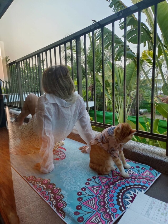 【屏東.東港】福灣villa海洋四人房。寵物友善清潔費一隻$500。超大庭院+戶外客廳可盡情奔跑