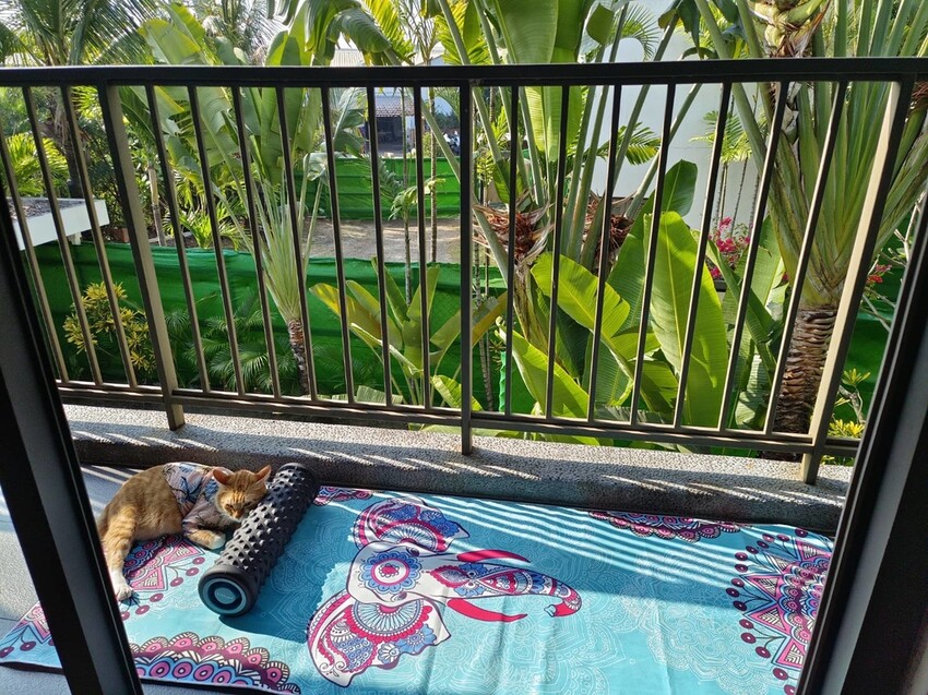 【屏東.東港】福灣villa海洋四人房。寵物友善清潔費一隻$500。超大庭院+戶外客廳可盡情奔跑