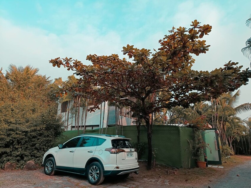 【屏東.東港】福灣villa海洋四人房。寵物友善清潔費一隻$500。超大庭院+戶外客廳可盡情奔跑