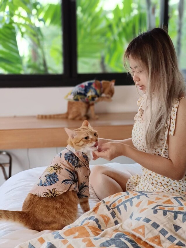 【屏東.東港】福灣villa海洋四人房。寵物友善清潔費一隻$500。超大庭院+戶外客廳可盡情奔跑