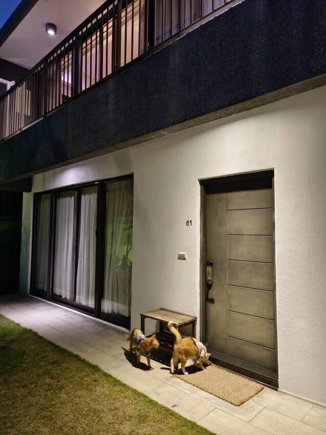 【屏東.東港】福灣villa海洋四人房。寵物友善清潔費一隻$500。超大庭院+戶外客廳可盡情奔跑